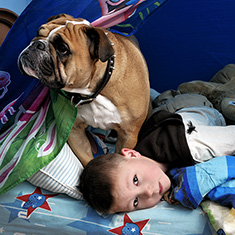 portait of boy with his bulldog</h5>
